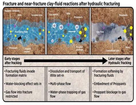 Geochemistry of Clay-Pore Fluid Interactions 1st Edition Epub
